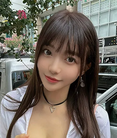 金殿春深 古装电视剧全集免费观看